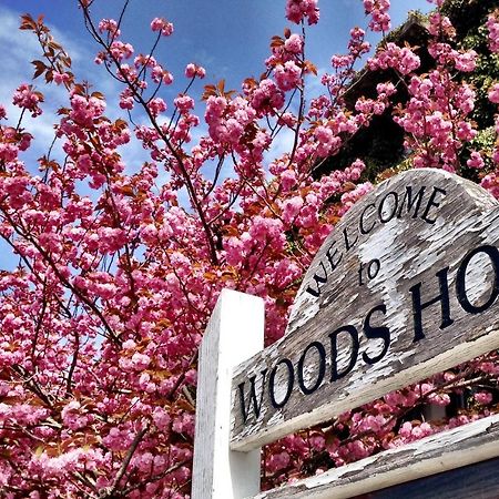 Treehouse Lodge Woods Hole Εξωτερικό φωτογραφία