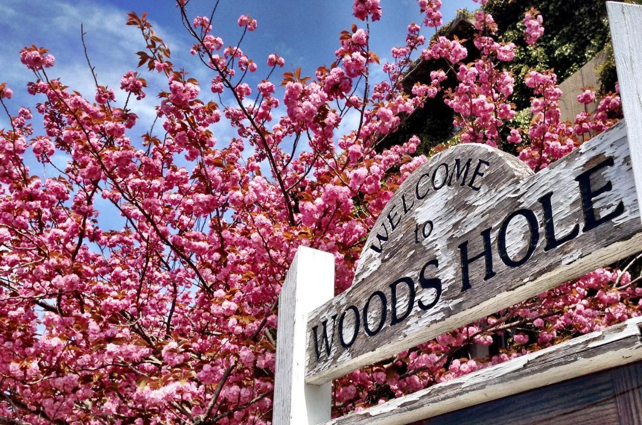 Treehouse Lodge Woods Hole Εξωτερικό φωτογραφία